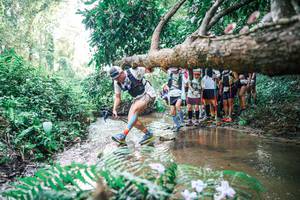 BIB: 
                            <button type="button" onclick="openModal(25472533)" class="btn btn-primary btn-sm float-right btn-popup" data-toggle="modal" data-target=".modal-high-quality">
                        <i class="fas fa-shopping-cart"></i> Add to Cart
                    </button>
                                            <button type="button" onclick="isThisMe(25472533, true)" class="btn btn-success btn-sm float-right btn-popup btn-isme hidden" data-toggle="tooltip" data-placement="bottom" title="นี่คือรูปของคุณใช่ไหม คลิกที่นี่เพื่อเอาเข้าอัลบั้ม">
                        <i class="fas fa-plus"></i> Add to album
                    </button>
                    <button type="button" onclick="isThisMe(25472533, false)" class="btn btn-warning btn-sm float-right btn-popup btn-isnotme hidden">
                        <i class="fas fa-ban"></i> Remove from album
                    </button>